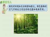 數(shù)學(xué)青島六（下）課件 第四單元 快樂足球—比例尺 讓校園綠起來