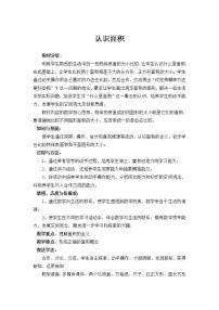 小学青岛版 (六三制)五  我家买新房子啦--长方形和正方形的面积教案