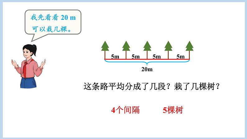 7.1.植树问题（一）（课件）五年级上册数学人教版（课件）五年级上册数学人教版06