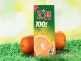 人教版六年级下册百分数 课件
