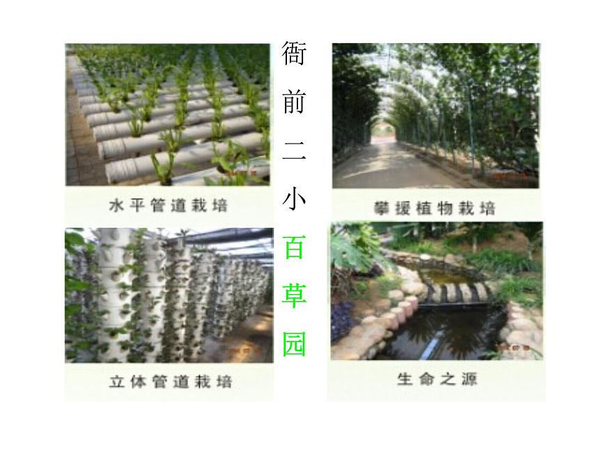 人教版四年级上册三位数乘两位数的估算课件第2页
