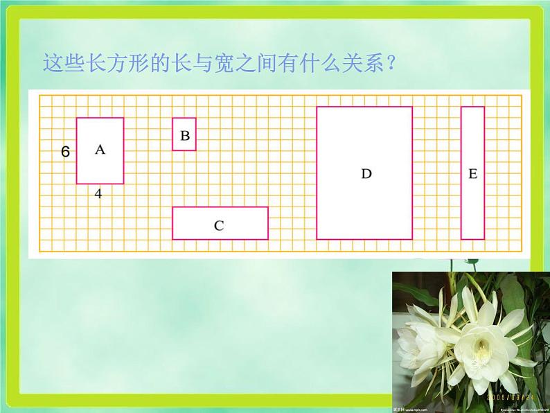 北师大版 六年级上册 生活中的比 公开课课件03