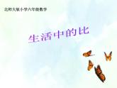 北师大版 六年级上册 生活中的比课件 优质