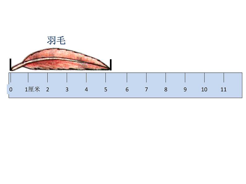 人教版三年级上册《毫米的认识》课件06