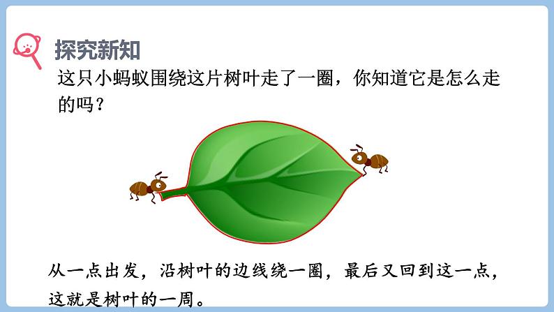 7.2.周长（课件）三年级上册数学人教版第3页