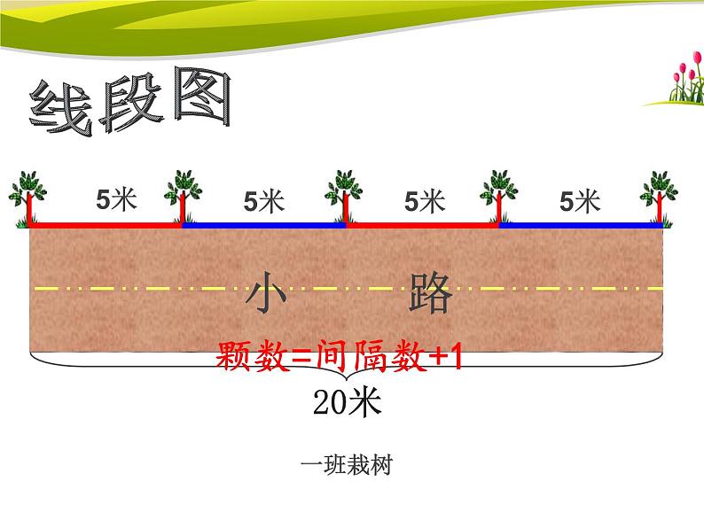 五年级数学上册植树问题，课件第4页