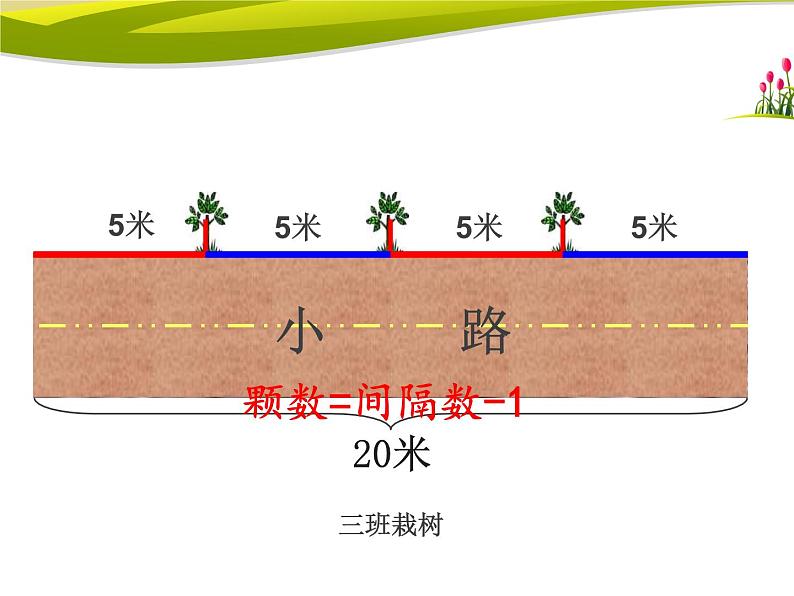 五年级数学上册植树问题，课件第7页