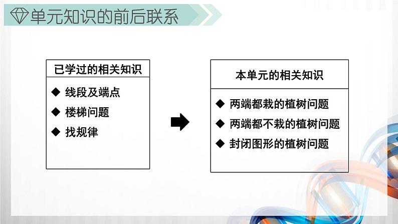 人教版新插图小学五年级数学上册第7单元《数学广角—植树问题》课件第3页