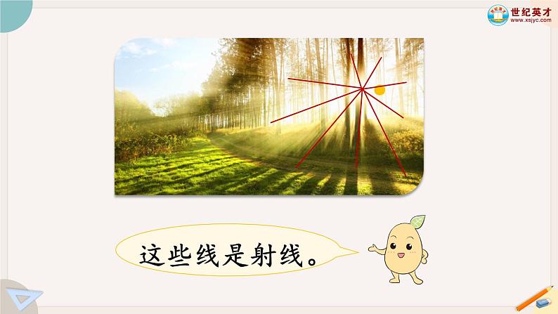 3.1《线段、直线、射线和角》PPT课件+教学设计+同步练习06