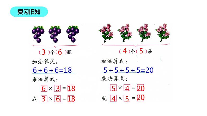 二年级北师大版数学上册 3.4动物聚会  课件第3页