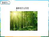 5数下（XSD）第四单元  分数加减法 综合与实践  一年“吃掉”多少森林 PPT课件