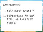 5數(shù)下（XSD）第六單元  折線統(tǒng)計圖 綜合與實踐  發(fā)豆芽 PPT課件