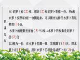 人教版数学三年级上册作业课件：第五单元 倍的认识 第1节 求一个数是另一个数的几倍