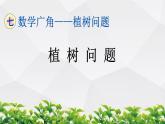 人教版数学五年级上册作业课件：第七单元  数学广角——植树问题