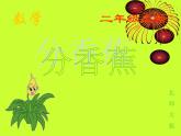 二年级数学北师大版上册  7.4分香蕉  课件