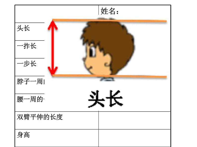 二年级数学北师大版上册  数学好玩  寻找身体上的数学“秘密”  课件第6页