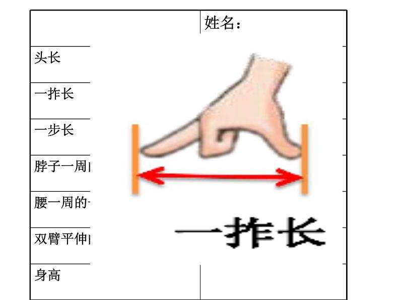 二年级数学北师大版上册  数学好玩  寻找身体上的数学“秘密”  课件第7页