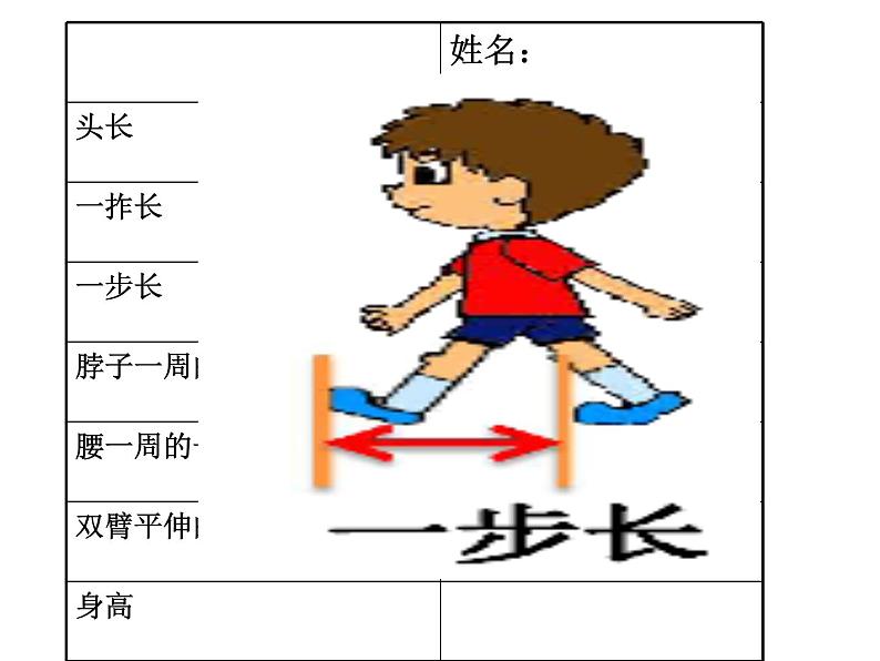 二年级数学北师大版上册  数学好玩  寻找身体上的数学“秘密”  课件第8页