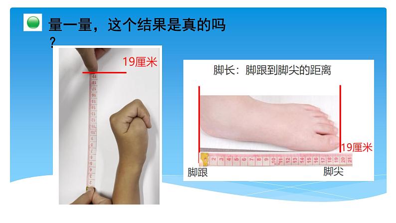 二年级数学北师大版上册  数学好玩  寻找身体上的数学“秘密”  课件5第6页