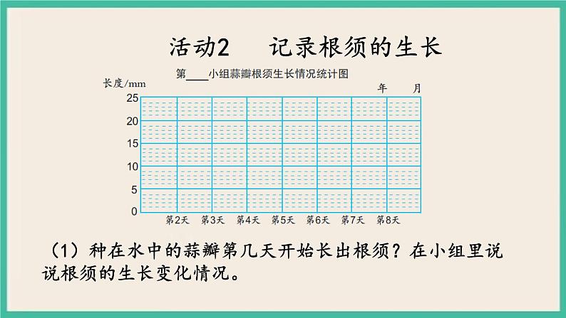 2.4 蒜叶的生长 课件（送练习）05