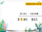 北师大数学一下课件第1课时  数花生