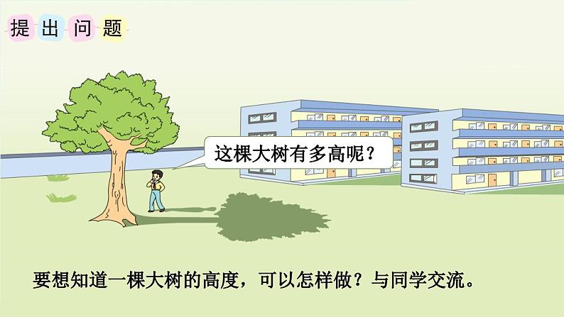 苏教版六年级数学下册 综合实践 大树有多高（课件）02