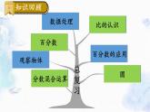 北师大版 六年级上册数学课件-总复习 统计与概率 优质课件