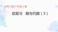 北师大版数学六年级上册 总复习 数与代数（三）优质课件
