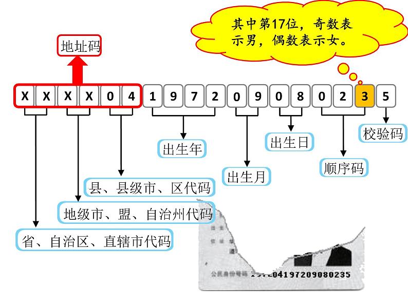 四年级数学北师大版上册  数学好玩《2.编码》  课件3第4页