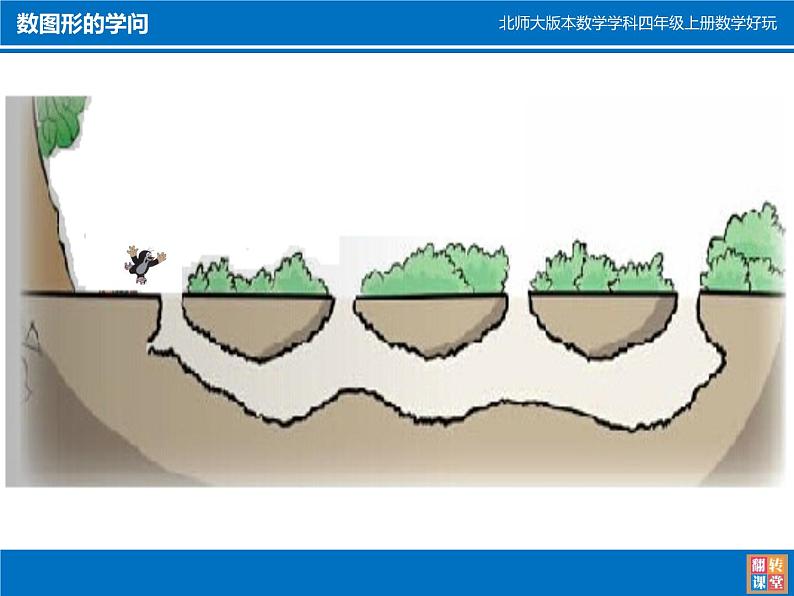 四年级数学北师大版上册  数学好玩《3.数图形的学问》  课件03