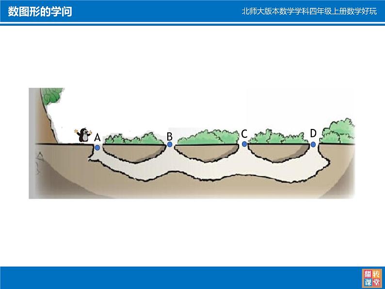 四年级数学北师大版上册  数学好玩《3.数图形的学问》  课件06