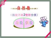五年级数学北师大版上册 3.5 找质数  课件1