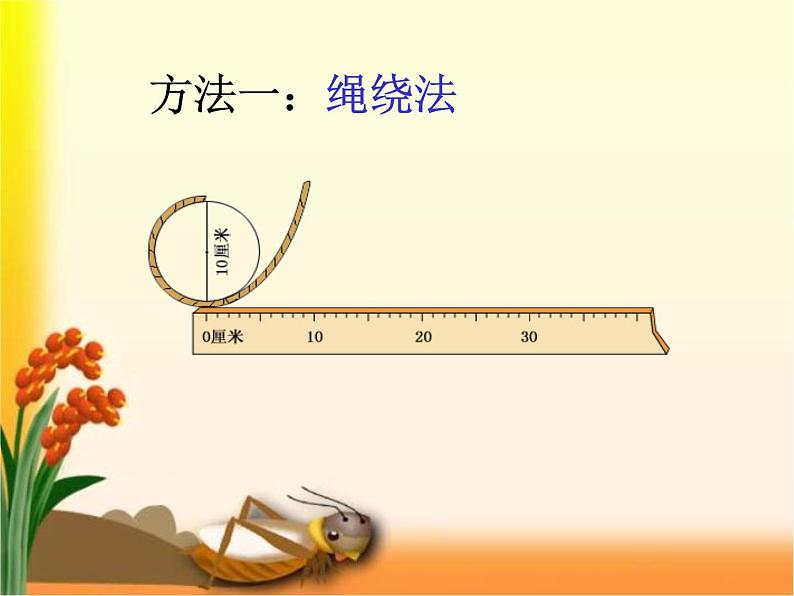 六年级数学北师大版上册 1.4 圆的周长  课件第5页