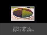 六年级数学北师大版上册 1.1圆的面积（一）  课件
