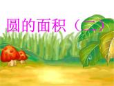 六年级数学北师大版上册 1.5 圆的面积（一）  课件1