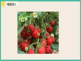 6.1《 认识有余数的除法》 课件PPT
