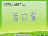 北师大版数学三年级上册课件《运白菜》