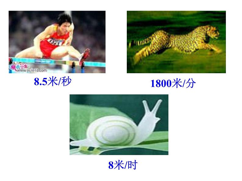 北师大版数学四年级上册课件《路程、时间与速度》第6页