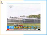 百分数（二）成数课件