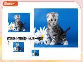 4.4《面积的变化》 课件+教案+导学案
