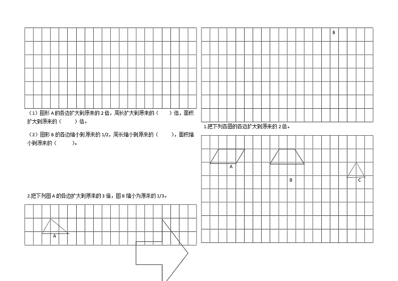 西师大版六年级上册数学《比和图形的放大缩小》练习题02