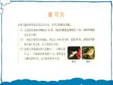 北师版数学五年级下册 练习六 课件