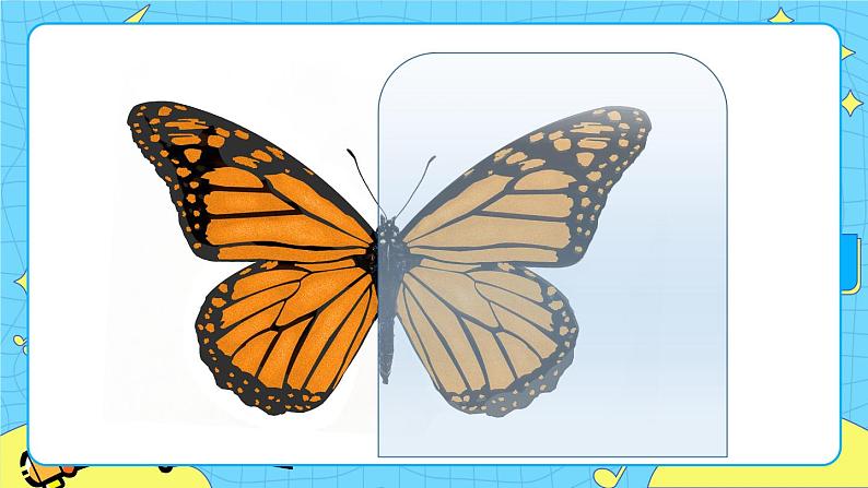 第1课时 轴对称（1）第7页