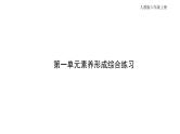 人教版六年级上册第一单元分数乘法第一单元素养形成综合练习课件PPT