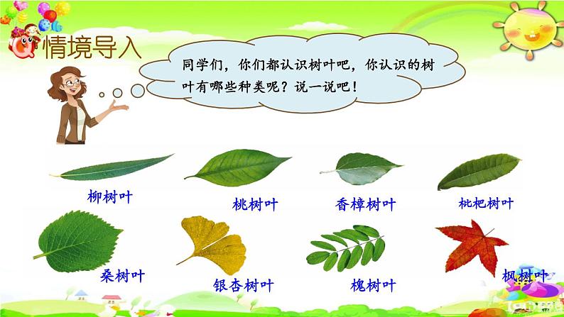 新苏教版数学六年级上册《树叶中的比》课件第2页