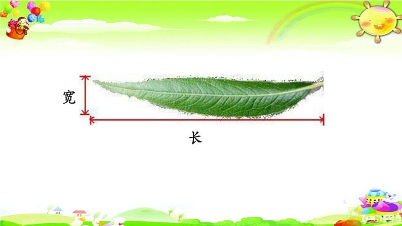 新苏教版数学六年级上册《树叶中的比》课件第8页