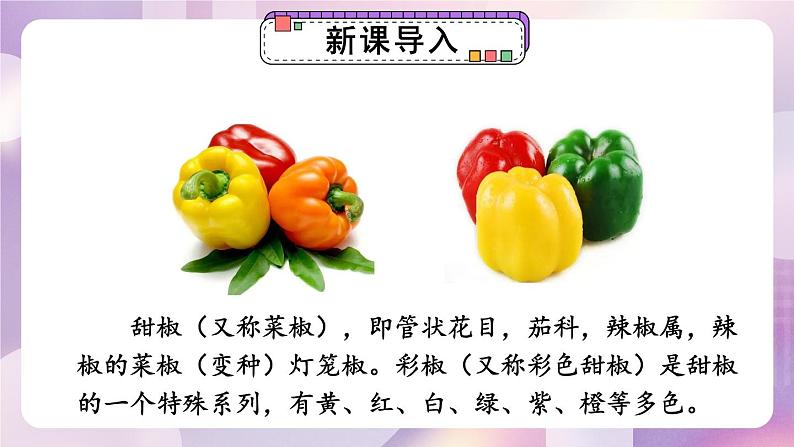 1.1 两位数乘两位数的口算、估算 （课件）-三年级下册数学苏教版02