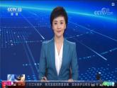 2.2 认识吨（课件）-三年级下册数学苏教版