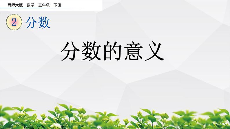 新西师大版数学五年级下册第二单元整套课件第2页