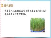 6.2 栽蒜苗（一）（1） 課件+練習(xí)